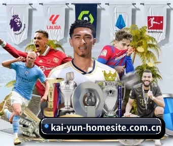 kai-yun-homesite.com.cn APP
